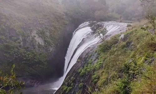 Kodaikanal Gallery