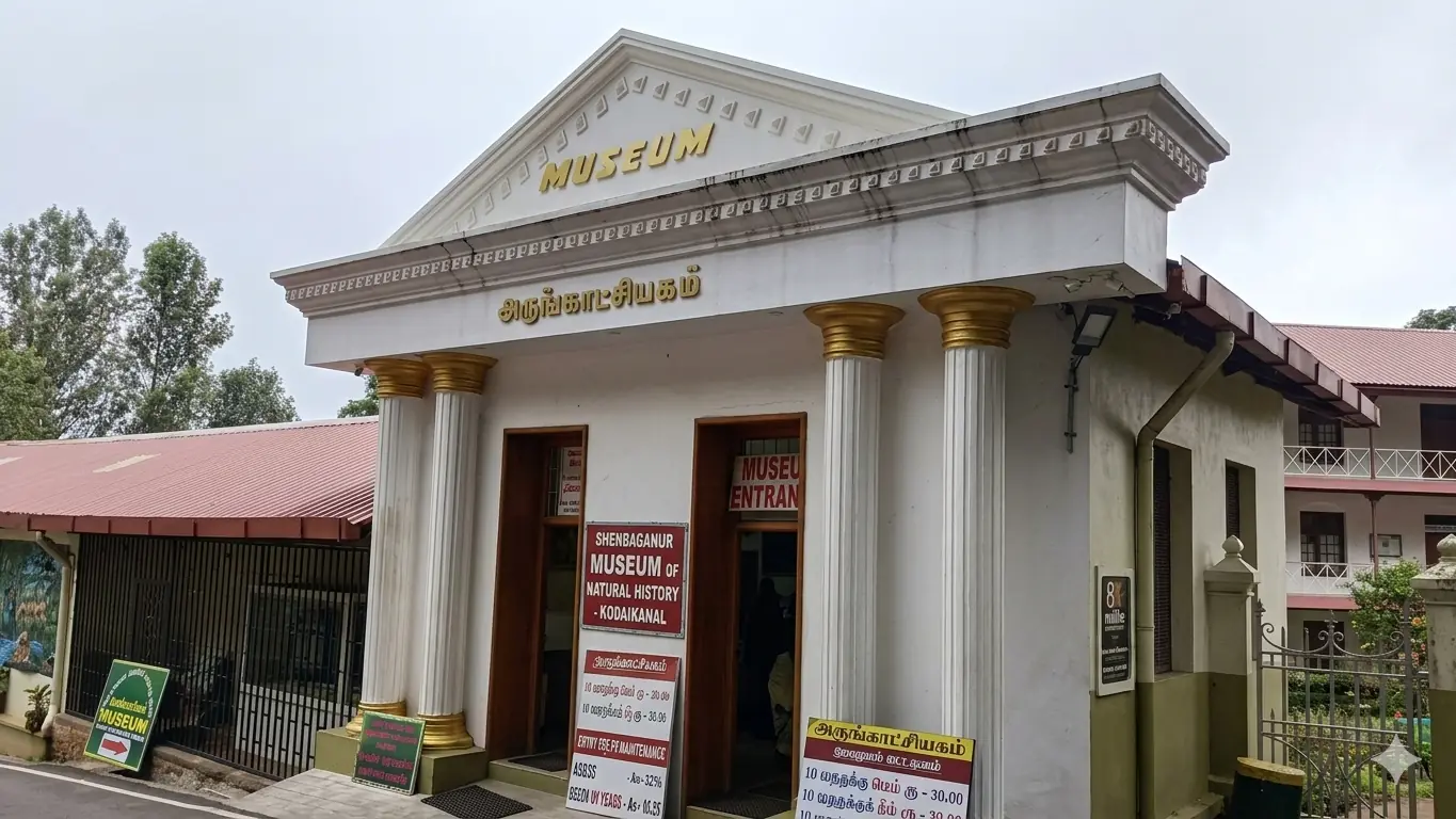 Museum